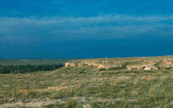 woodland in the Great Plains.